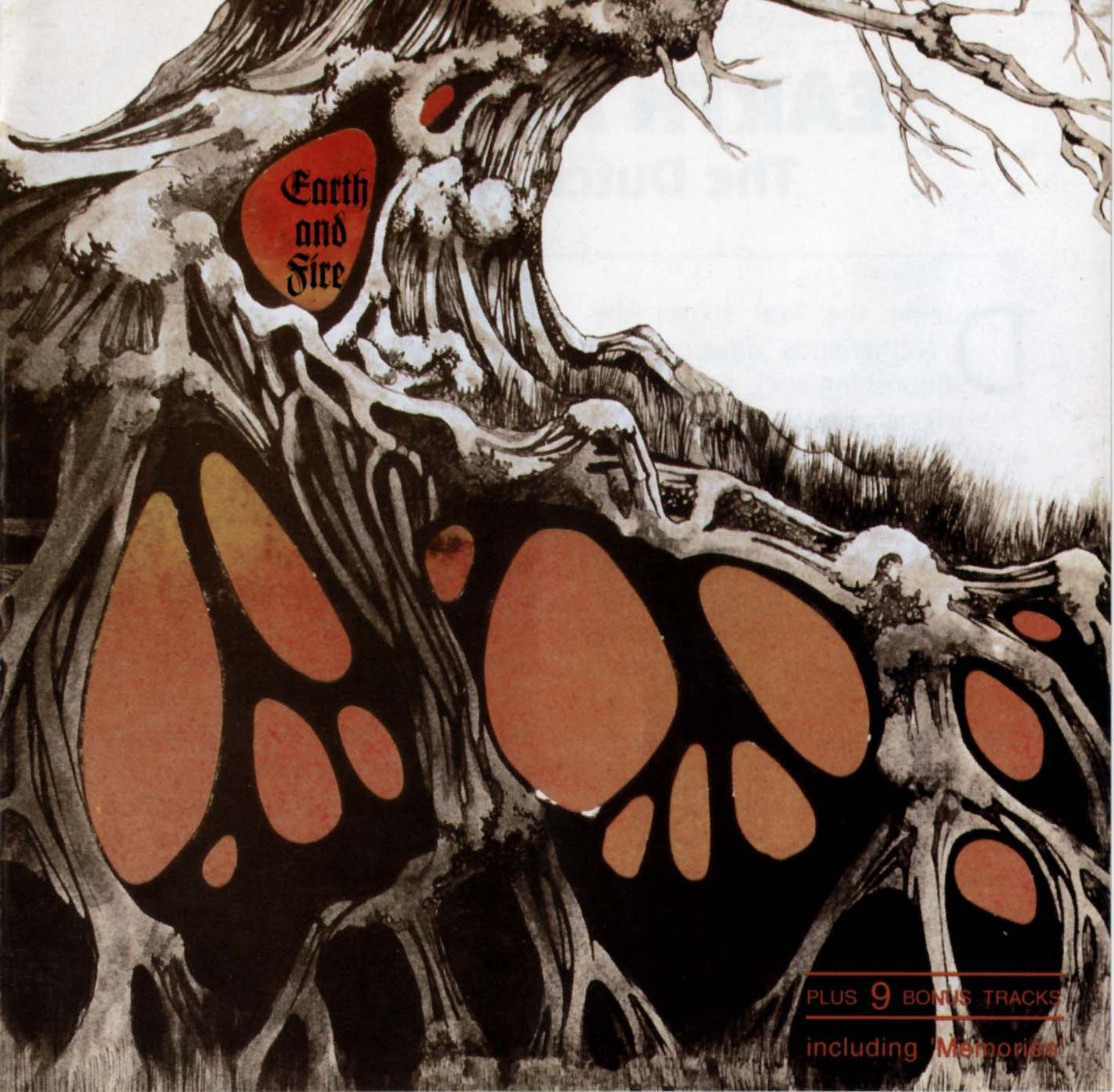 Earth & Fire